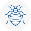 Bed Bug Extermination In Hither Green
