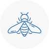 Bee Nest Removal Hither Green