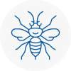 Hither Green Hornet Nest Removals