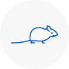 Mice Exterminators In Hither Green