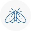 Moth Control Specialists In Hither Green