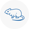 Rat Control Hither Green
