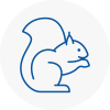 Hither Green Rodent Removals